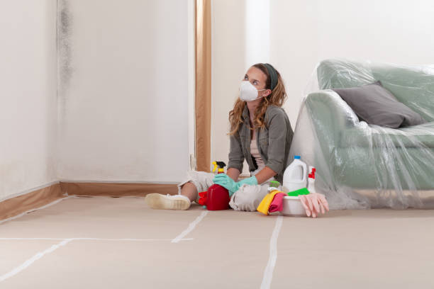 Reliable Mold Remediation contractor in Laurel, MD by 24 Hour Mold Removal